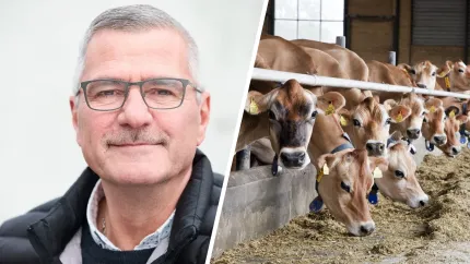 Allan Busk 3F og Davidsen Landbrug